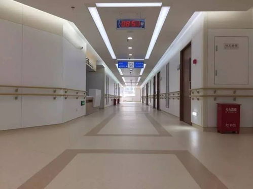 靖江環(huán)氧地坪玻纖布 地面施工 地億建設地坪