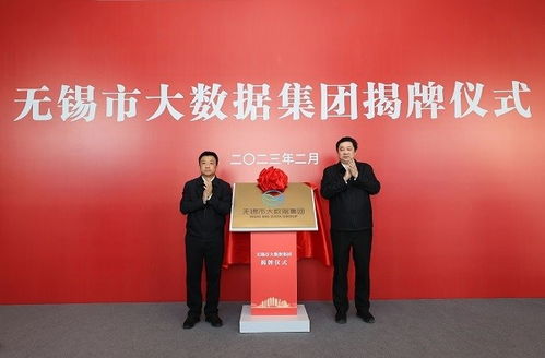 無錫市大數(shù)據(jù)集團成立