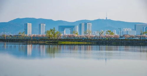 松柏投資 落子 無錫 加快口腔醫(yī)療教育發(fā)展 黃欽出席簽約儀式